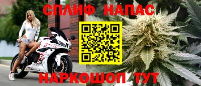 PSILOCYBIN Татарск
