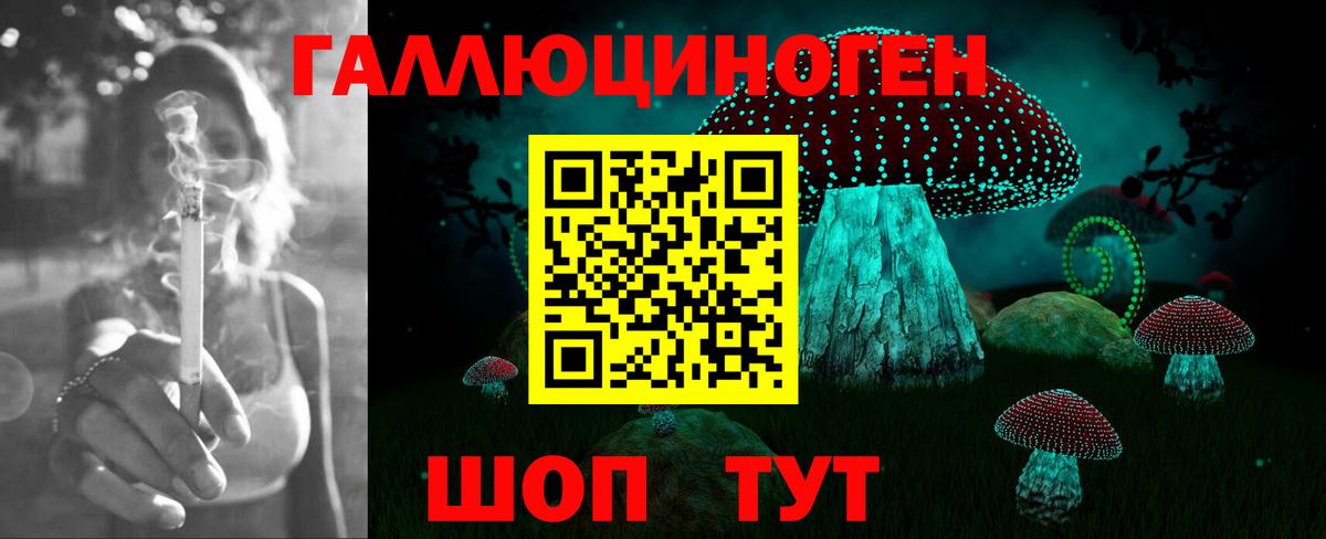 Галлюциногенные грибы Cubensis Ноябрьск