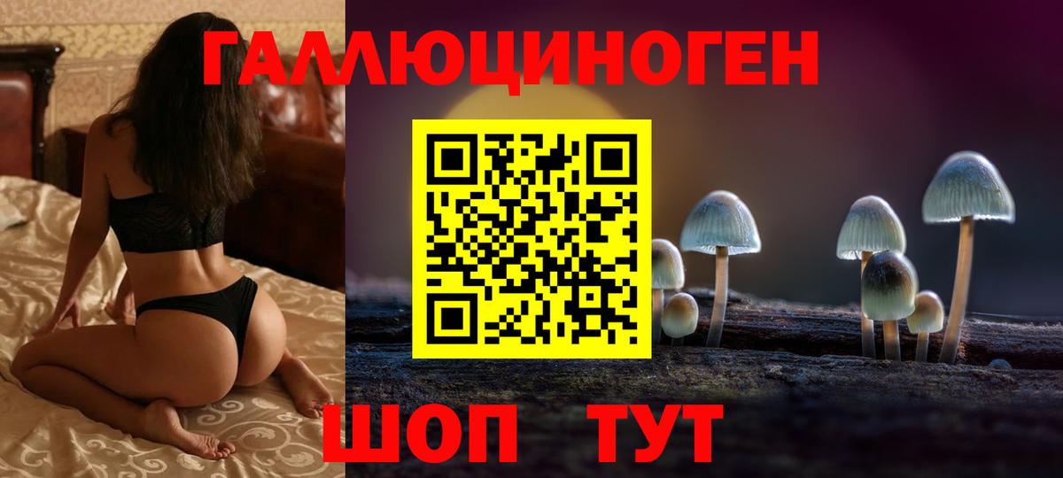 Галлюциногенные грибы Psilocybe  Галлюциногенные грибы прущие грибы  Вход с VPN  Ноябрьск 